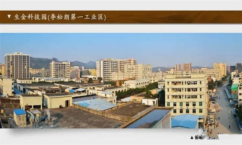 李松蓢生金科技园3.webp